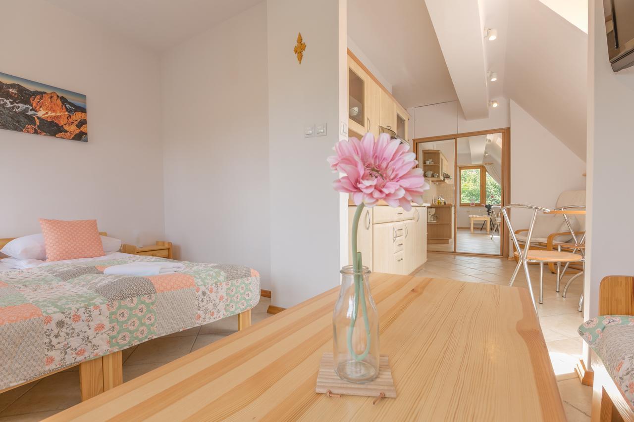 Rent Like Home - Orkana IV Centrum Закопане Экстерьер фото